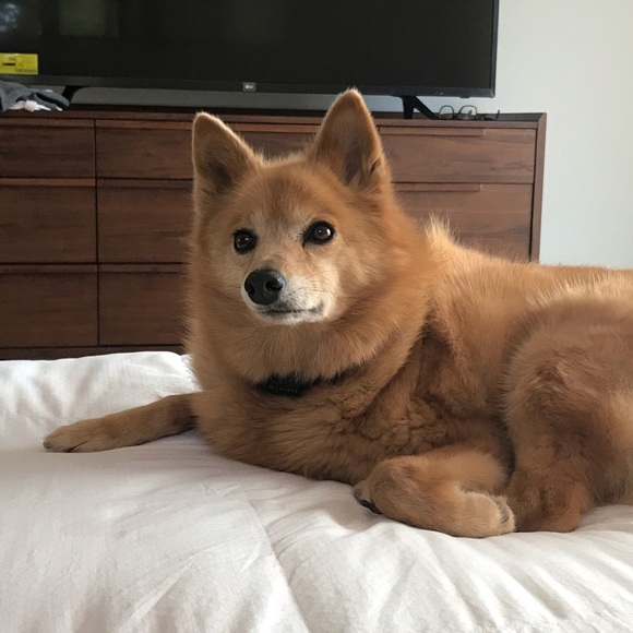 Meet your Posher, Erin - Picture 1 of 1